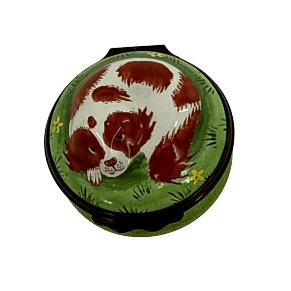 Halcyon Days Enamel Box Hand-Painted Sleeping Dog Design Green Grass Motif Engla - Picture 1 of 6